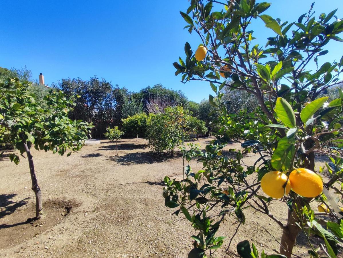 Rhodes Soul Iuxury Home Asgourou Esterno foto